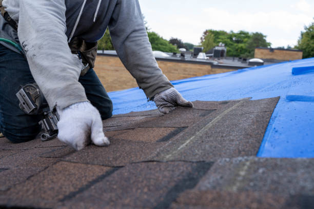 Best Emergency Roof Repair  in Willamina, OR