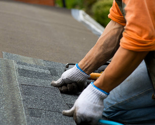Best Metal Roofing Contractor  in Willamina, OR